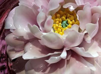 新聞｜我公司當(dāng)選河南省人民對(duì)外友好協(xié)會(huì)理事單位，創(chuàng)始人李治國(guó)當(dāng)選理事并接受河南日?qǐng)?bào)與河南衛(wèi)視的采訪(fǎng)。